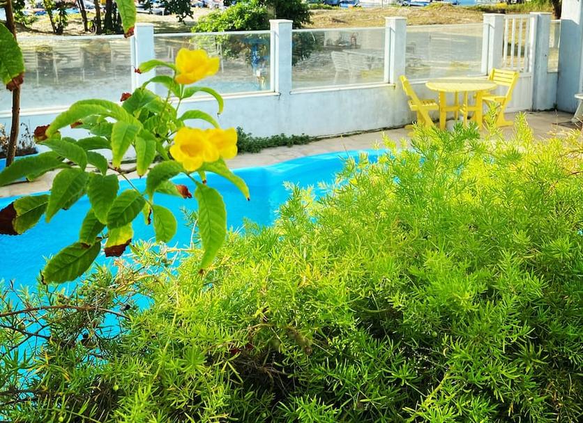 Pool Foto