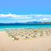 Platja