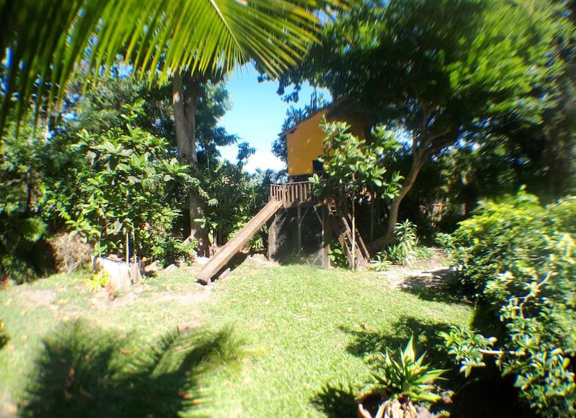 Altres Foto
