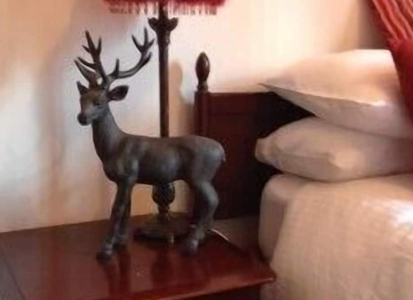 Serveis de l’habitació Foto