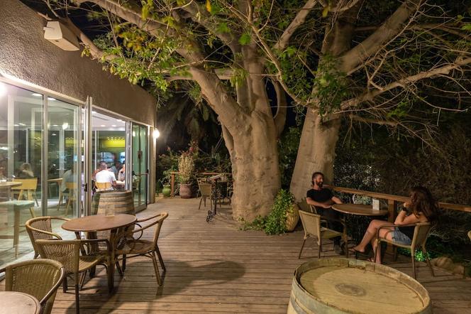 Ein Gedi Kibbutz Hotel