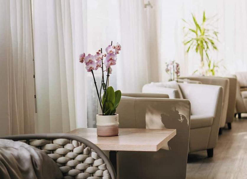 Serveis de l’habitació Foto