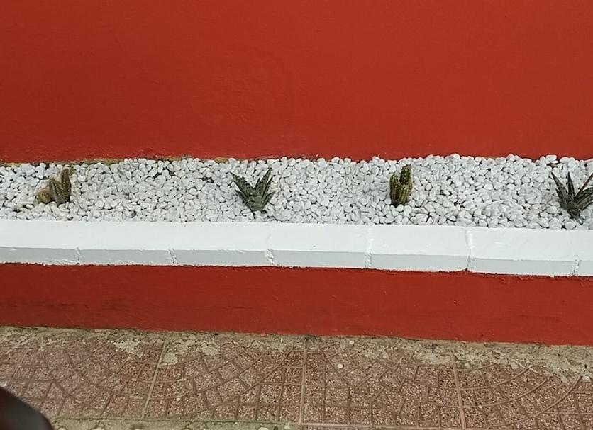Edifici Foto