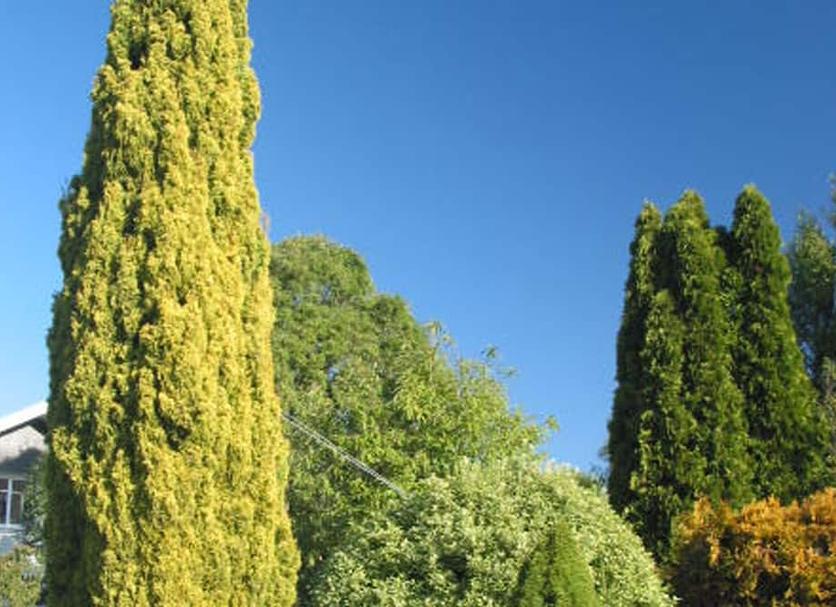 Vista exterior Foto