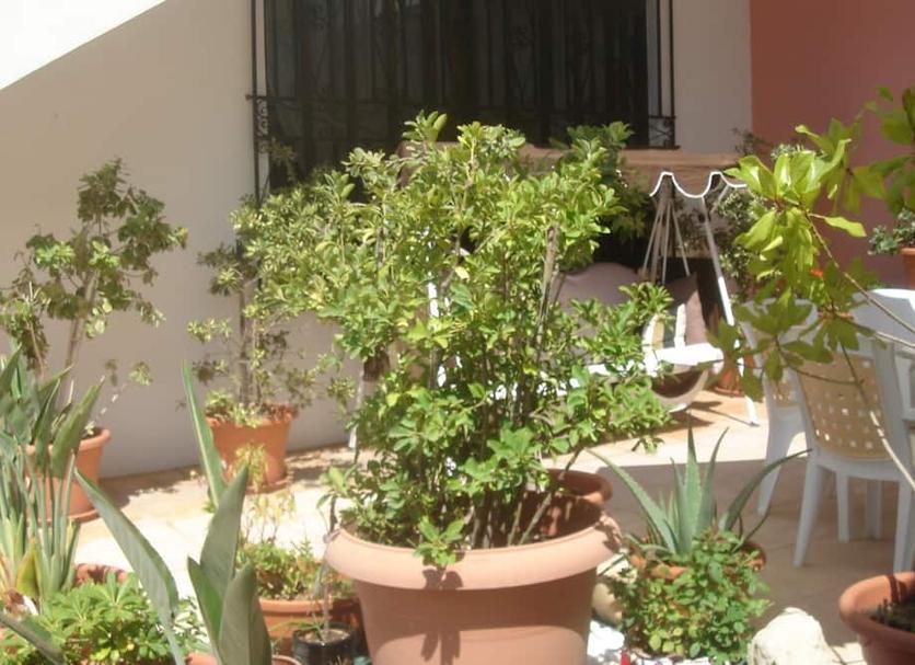 Vista exterior Foto
