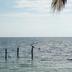 Platja
