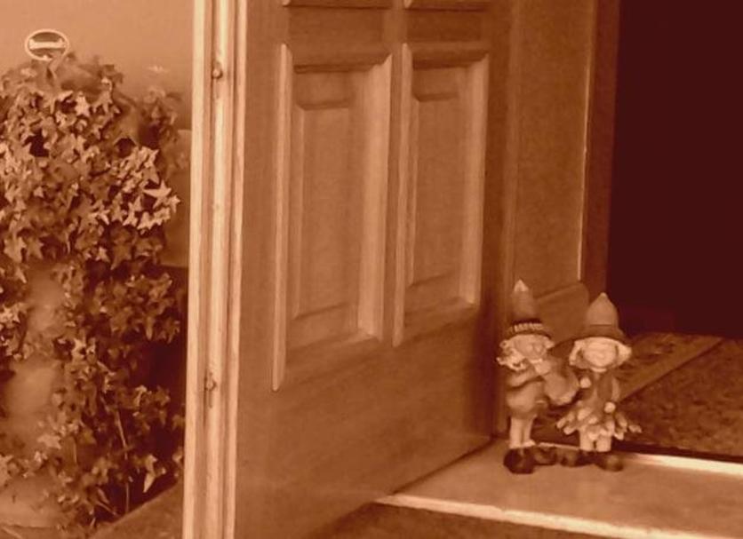 Serveis de l’habitació Foto