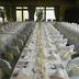 Sala de banquets