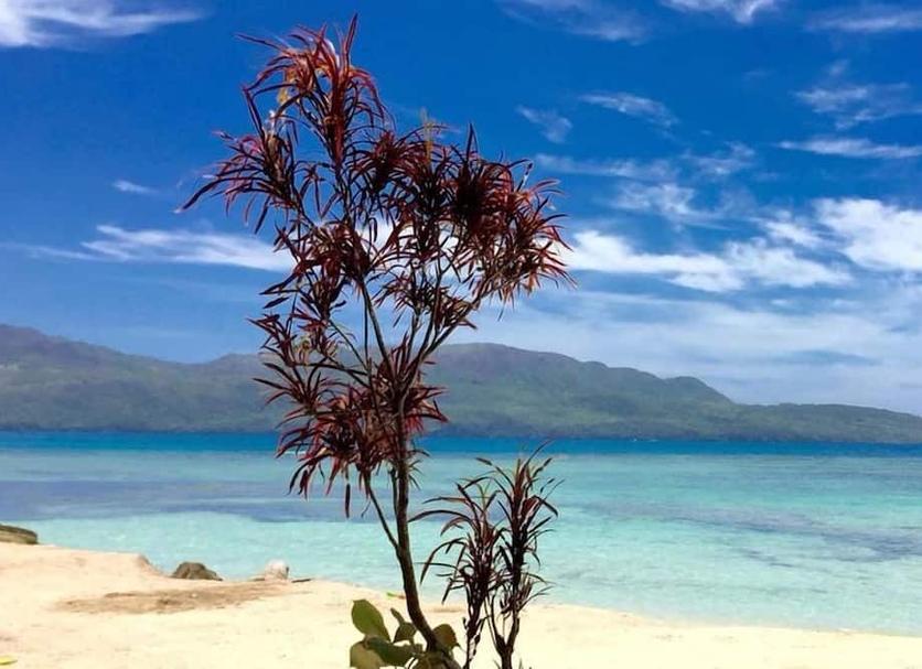 Platja Foto