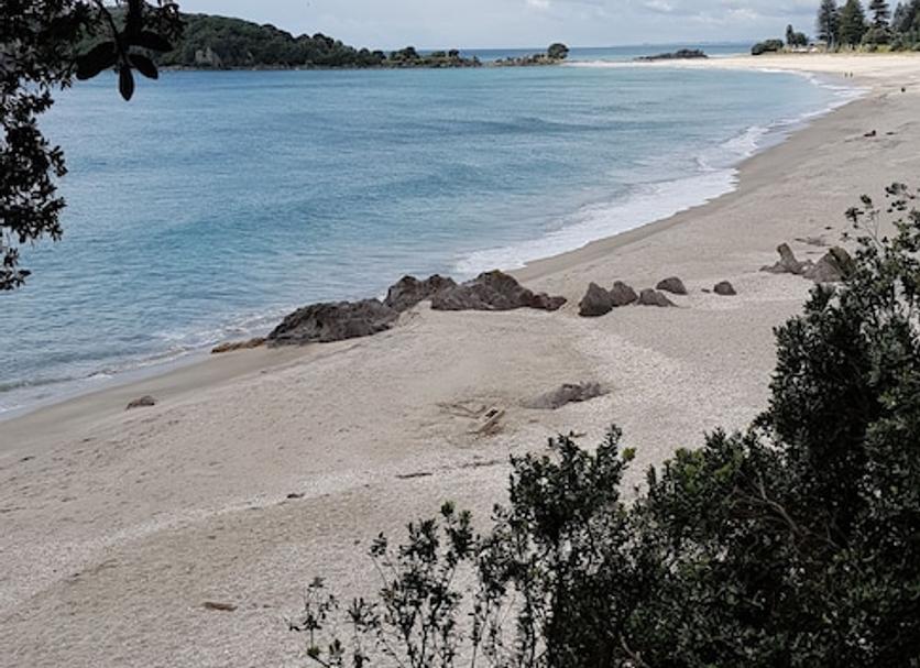 Platja Foto
