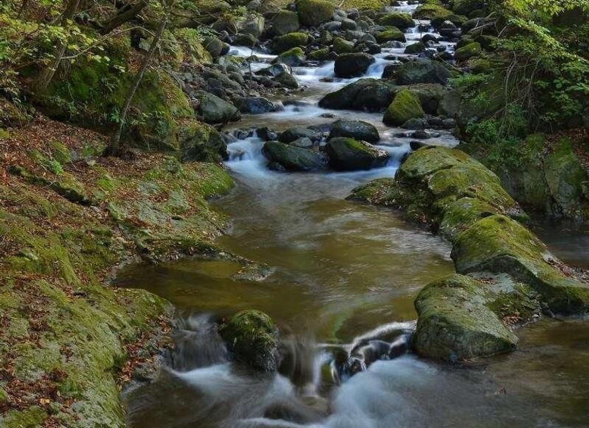 Altres Foto