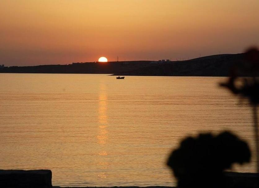 Altres Foto