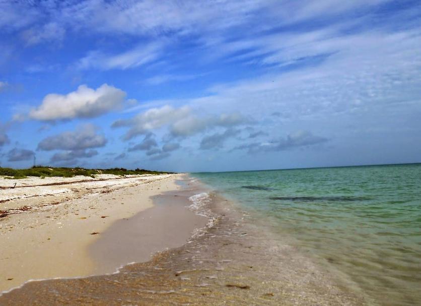 Platja Foto