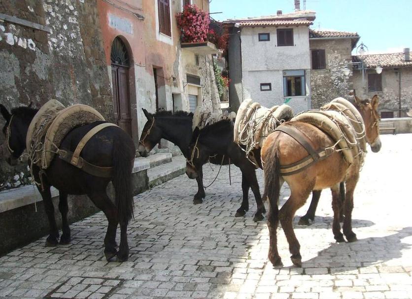 Edifici Foto