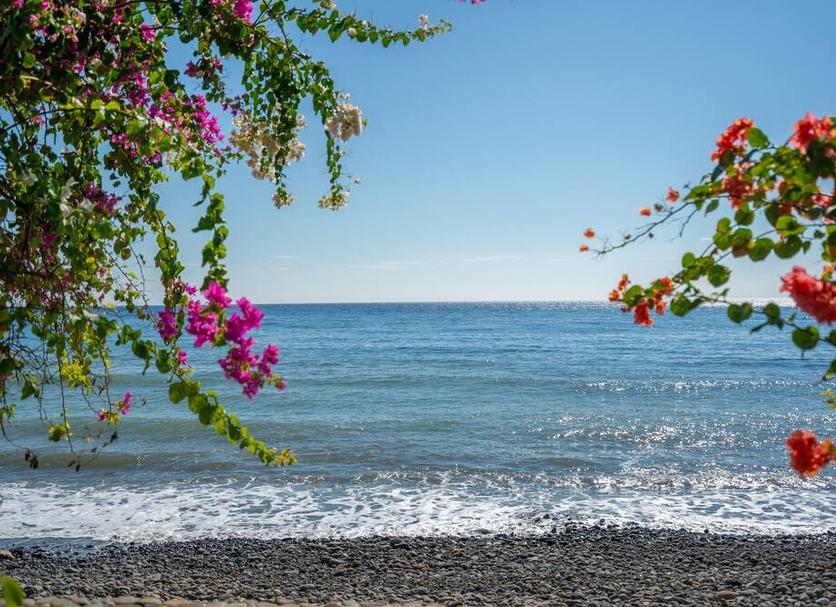Platja Foto