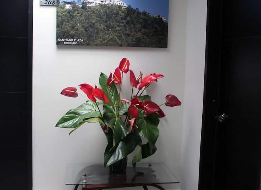 Serveis de l’habitació Foto