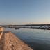 Altres