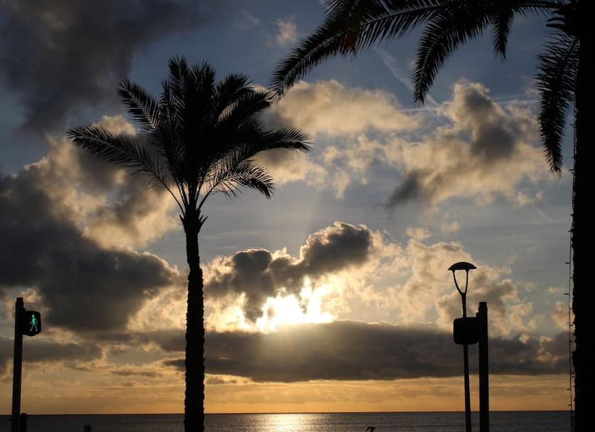 Altres Foto