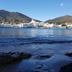 Altres