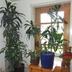 Serveis de l’habitació