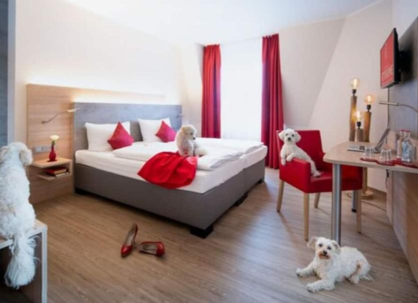 Habitació Foto