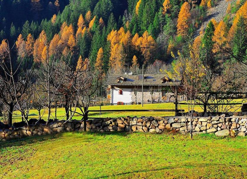 Altres Foto