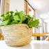 Serveis de l’habitació