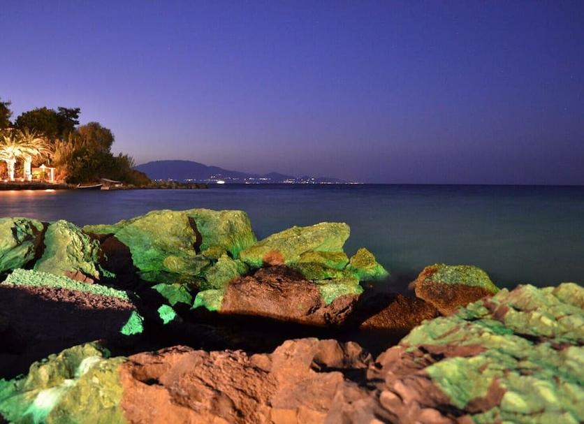 Altres Foto