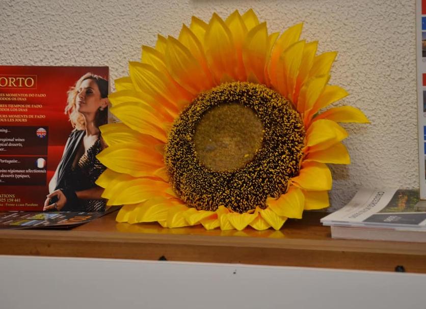 Altres Foto