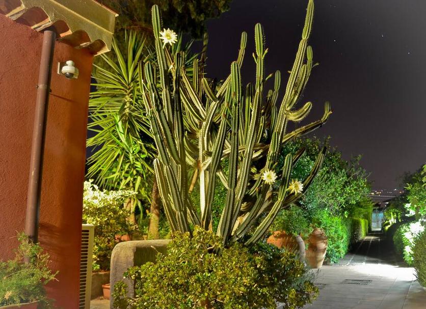 Vista exterior Foto