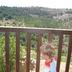 Altres