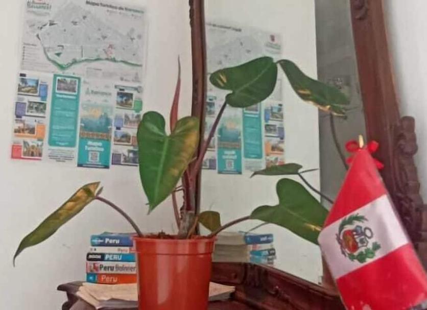Serveis de l’habitació Foto