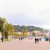 Altres