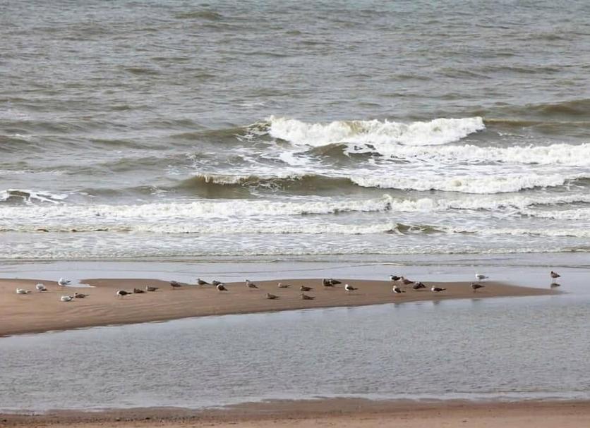 Platja Foto