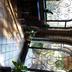Escales