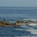 Platja