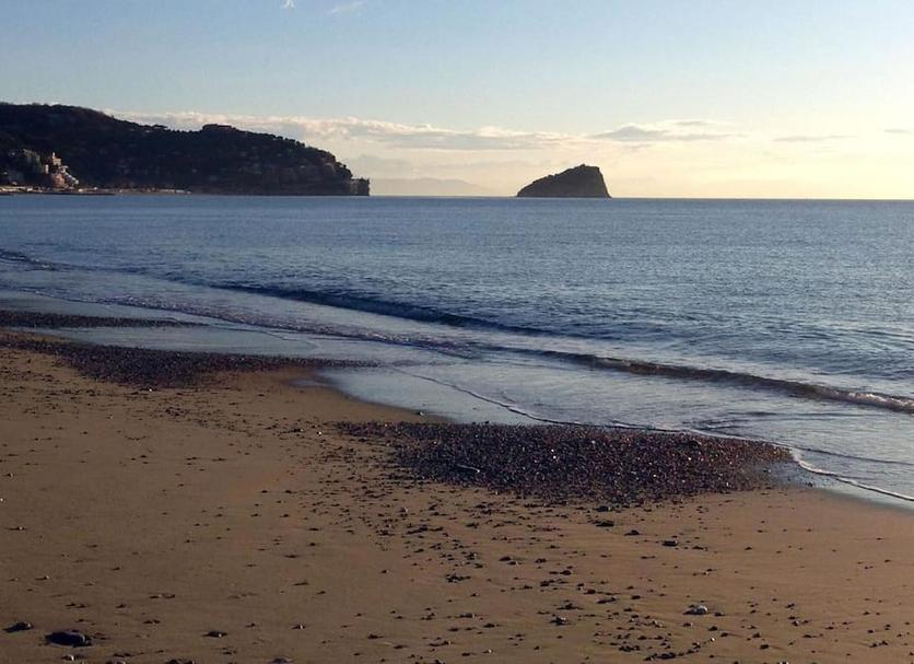 Platja Foto