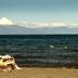Altres