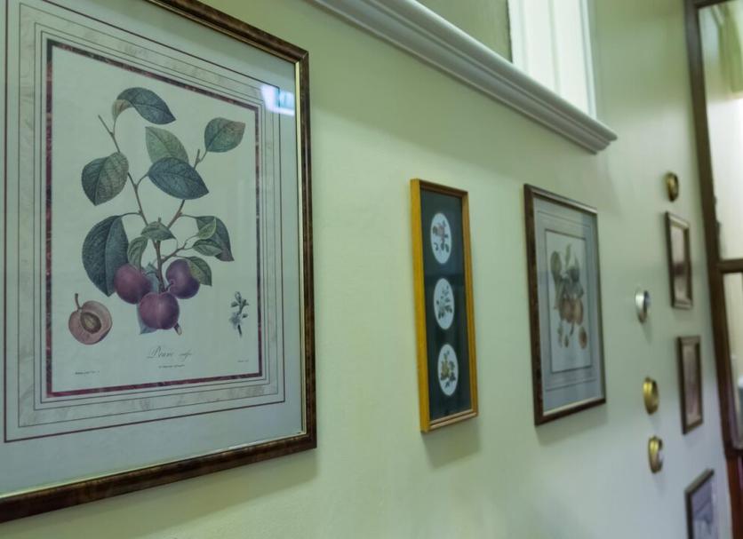 Serveis de l’habitació Foto