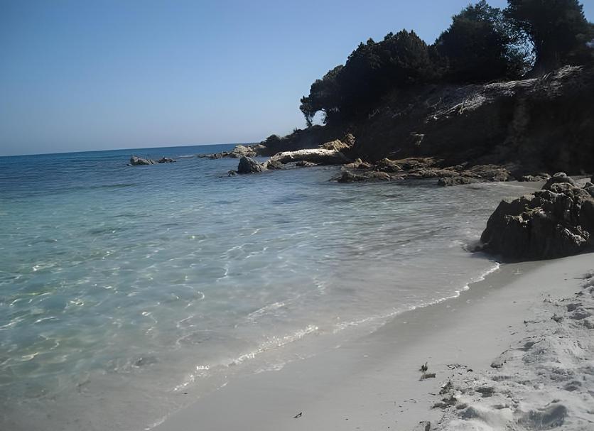 Platja Foto