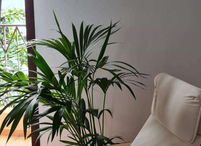 Serveis de l’habitació Foto