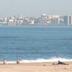 Platja