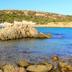 Altres