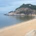 Altres