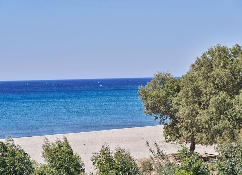 Platja Foto
