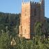 Altres