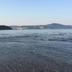 Altres