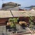 Edifici