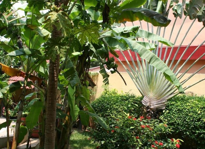 Vista exterior Foto