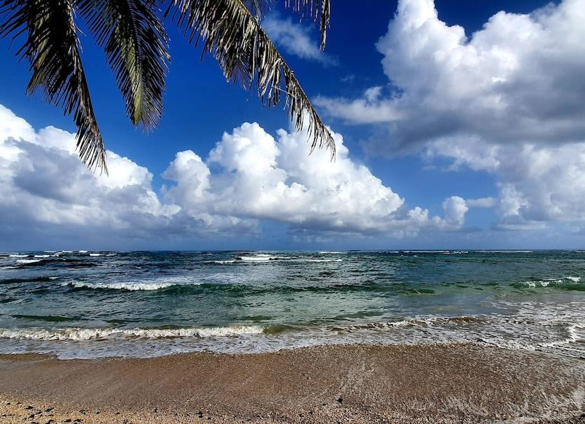 Platja Foto